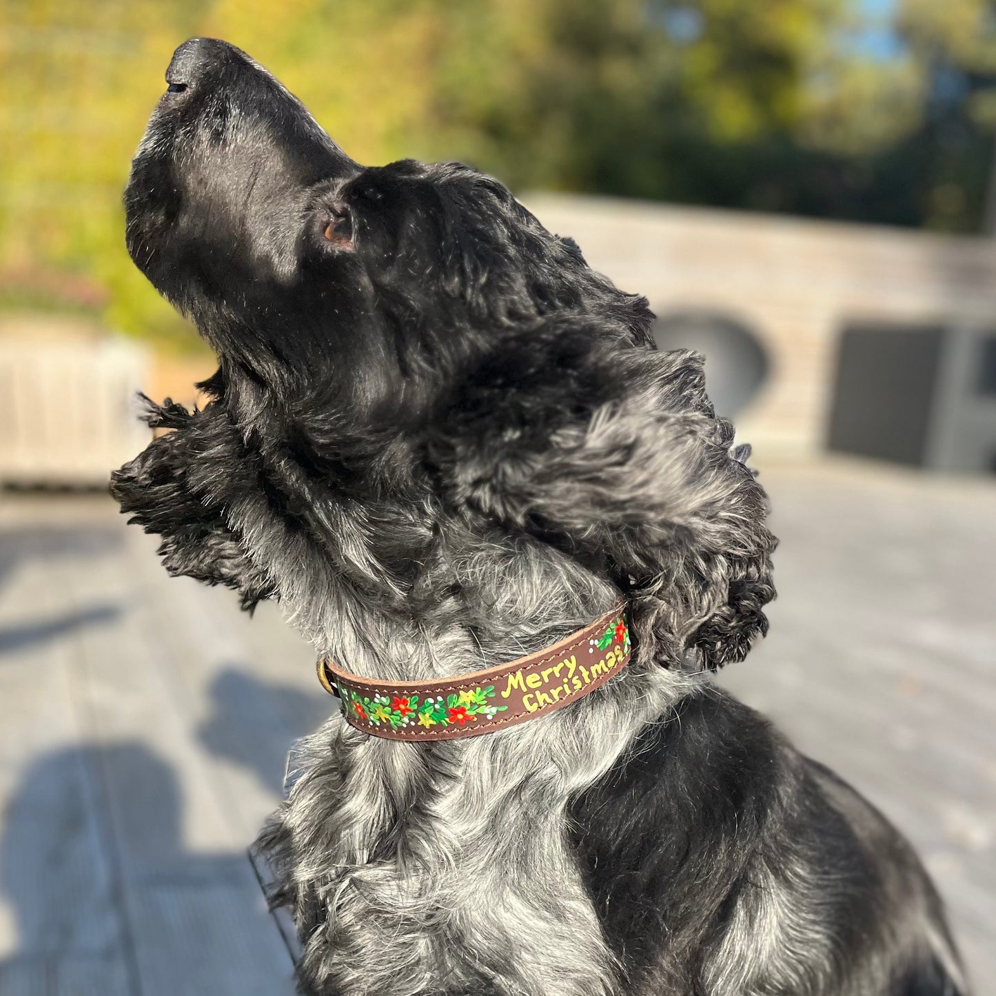 Christmas Dog Collar