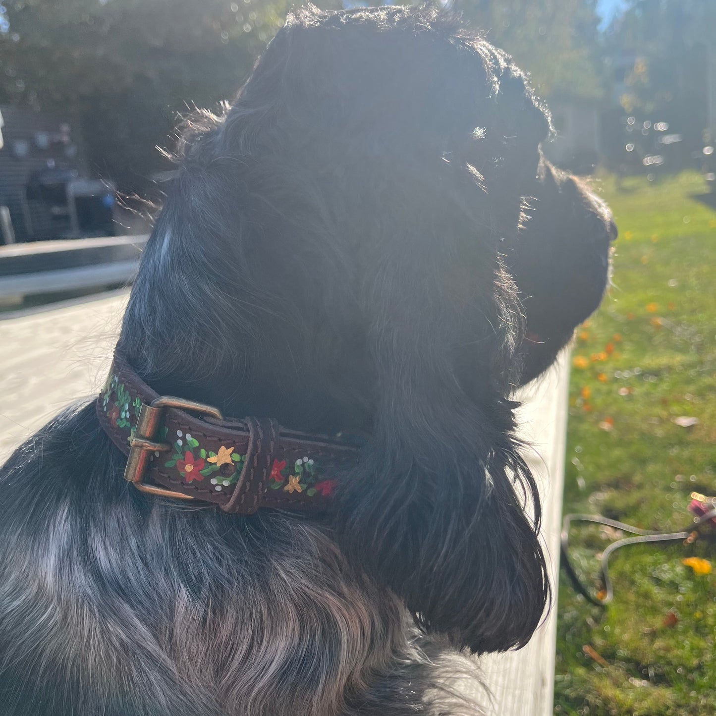 Christmas Dog Collar