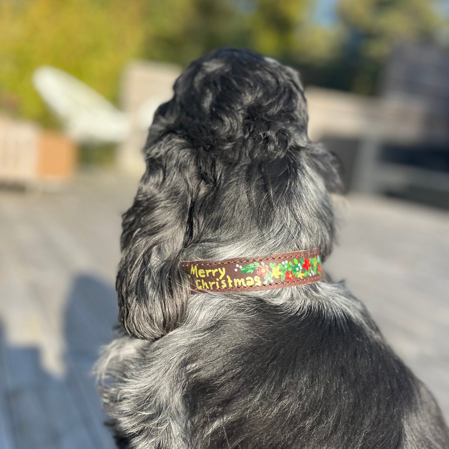 Christmas Dog Collar